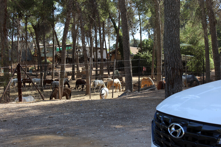 חוות בת יער חוות בת יער